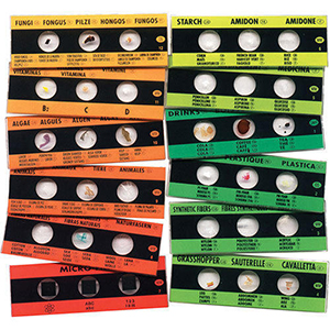 Harmful Bacteria Microslide